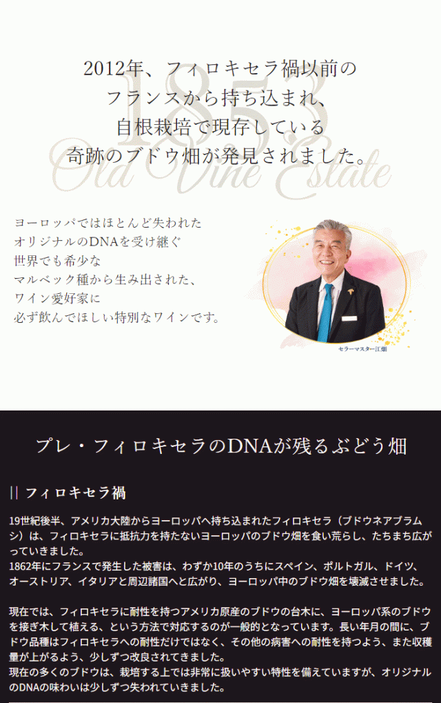 2012年、フィロキセラ禍以前のフランスから持ち込まれ、自根栽培で現存している奇跡のブドウ畑が発見されました。