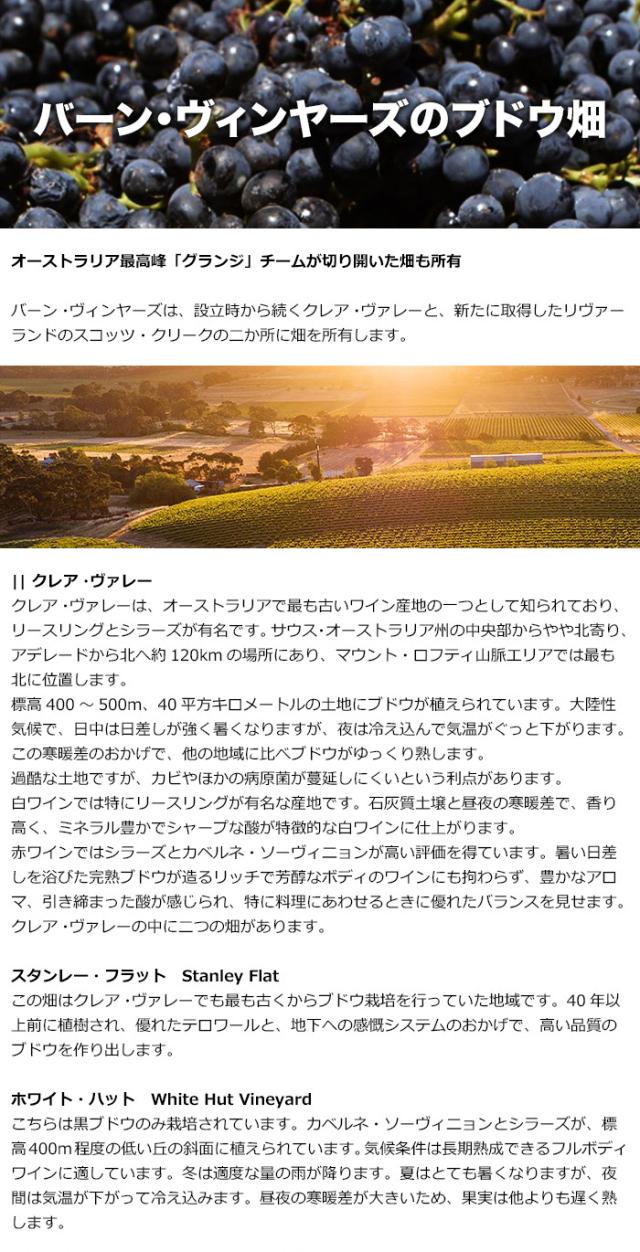 バーン・ヴィンヤーズのブドウ畑