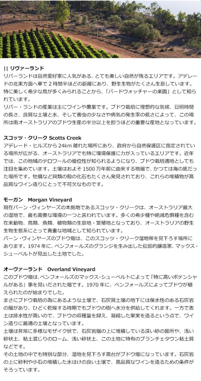 バーン・ヴィンヤーズのブドウ畑