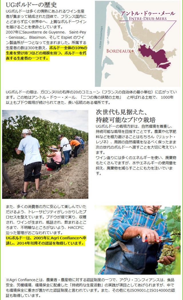 UGCボルドーについて