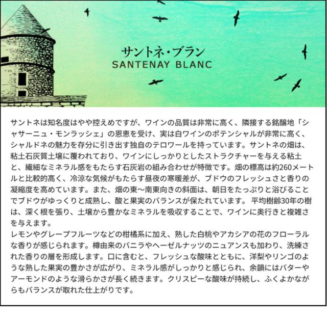 テイスティングコメント