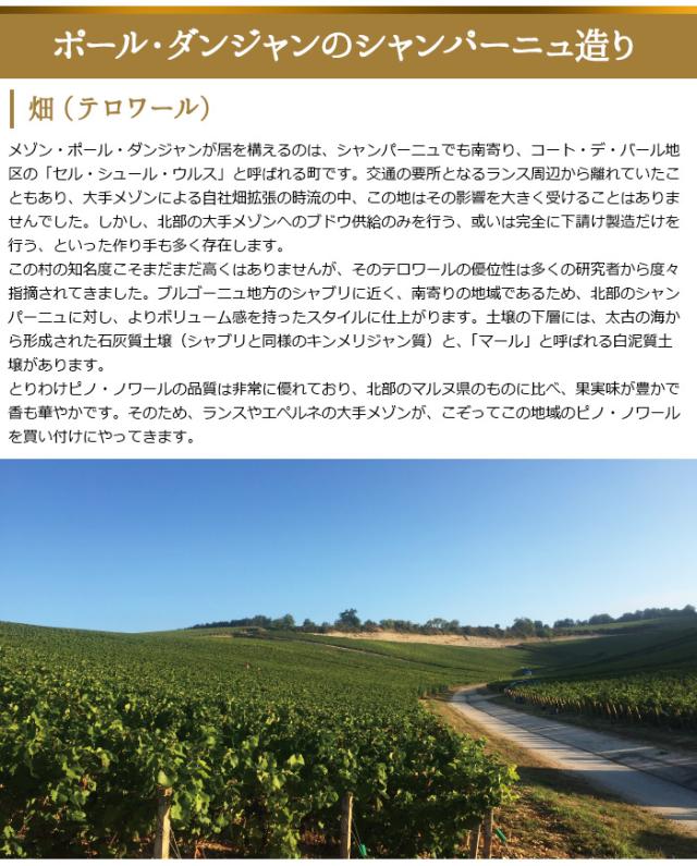ポール・ダンジャンのシャンパーニュ造り 畑