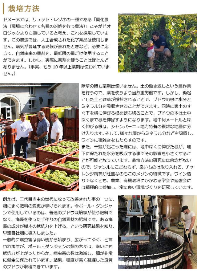 ポール・ダンジャンのシャンパーニュ造り 栽培方法