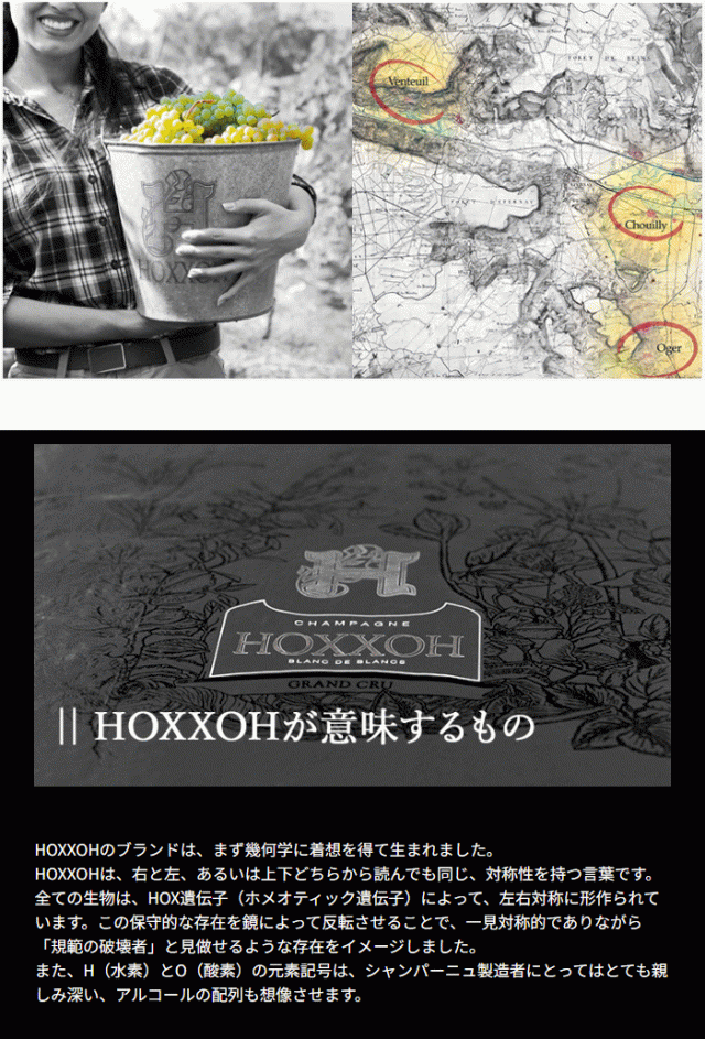 HOXXOHが意味するもの