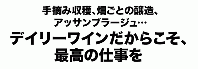 手摘み収穫、畑ごとの醸造、アッサンブラージュ…デイリーワインだからこそ、最高の仕事を