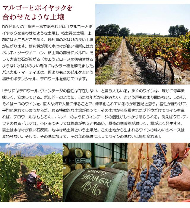 マルゴーとポイヤックを合わせたような土壌