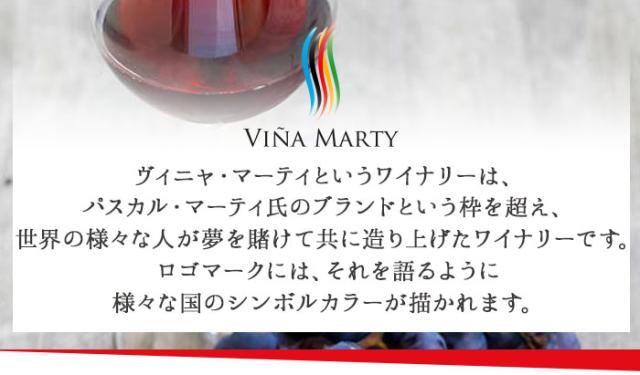 ヴィニャマーティのろごについて