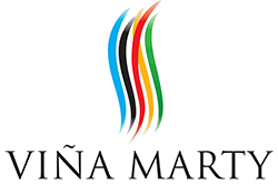 ヴィニャマーティ