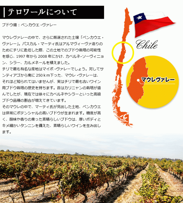 テロワールについて