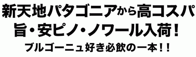 チリワインのイメージを刷新する華やかな香りとエレガントな味わい