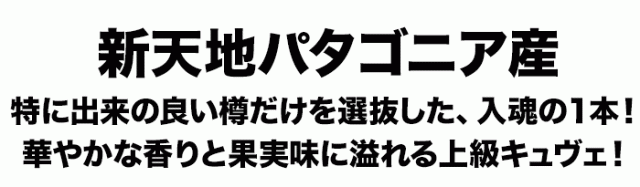 チリワインのイメージを刷新する華やかな香りとエレガントな味わい