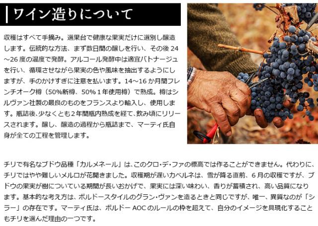 ワイン造りについて