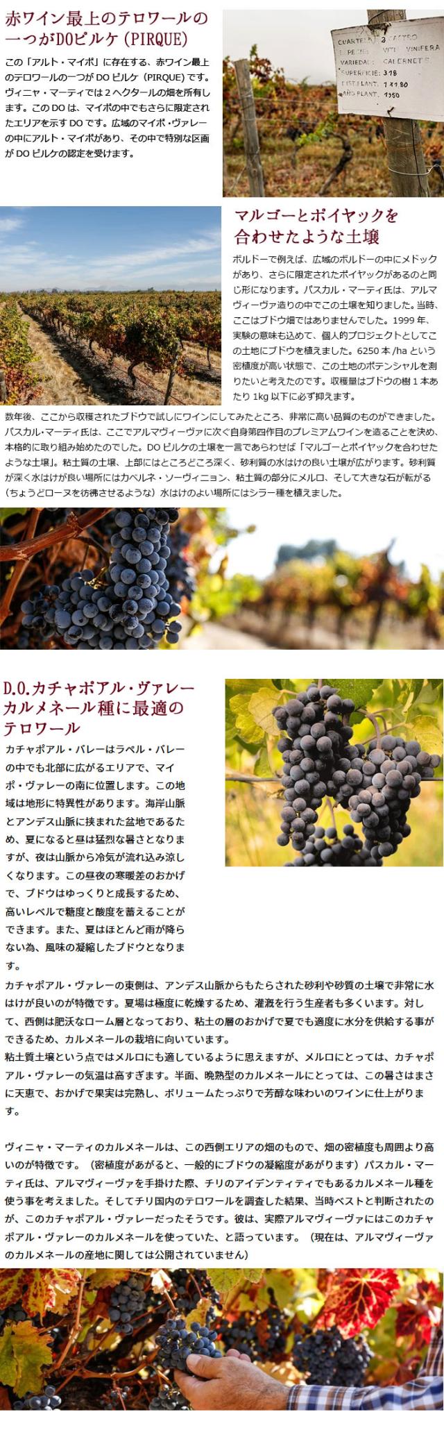 赤ワイン最上のテロワールの一つがDOピルケ