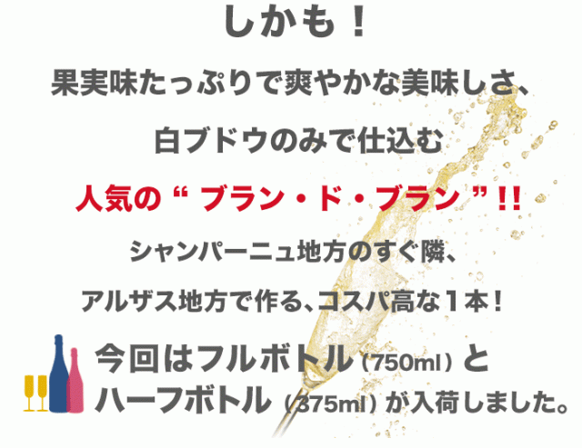泡好きソムリエが選んだお値打ちスパークリング!フルボトルとハーフボトルが入荷!