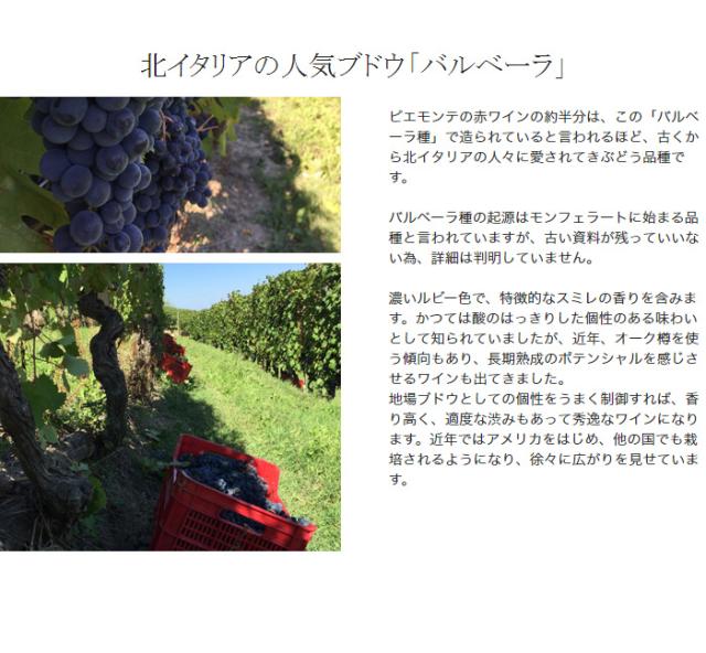 北イタリアの人気ブドウ「バルベーラ」
