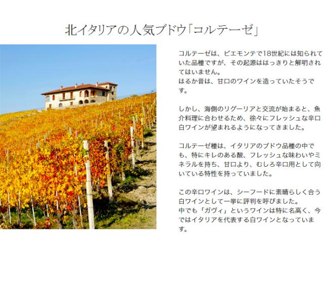 北イタリアの人気ブドウ「コルテーゼ」