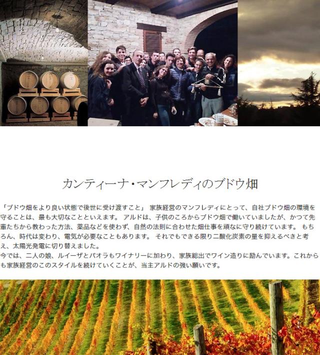 カンティーナ・マンフレディのブドウ畑