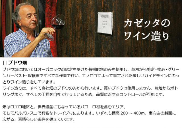 カゼッタのブドウ畑