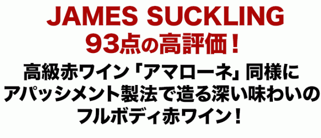 JAMES SUCKLING 93点の高評価!高級赤ワイン「アマローネ」同様にアパッシメント製法で造る深い味わいのフルボディ赤ワイン!