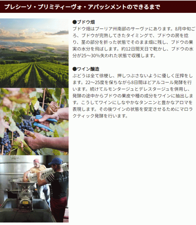 プレシーソ・プリミティーヴォ・アパッシメントのできるまで