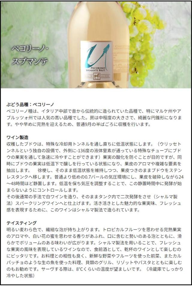 ペコリーノ・スプマンテ（PECORINO SPUMATE） 