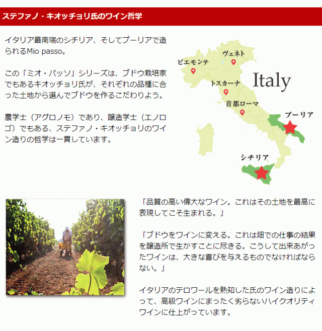 ステファノ・キオッチョリ氏のワイン哲学