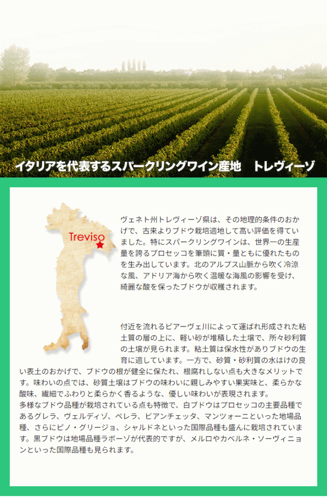 ヴェネト州トレヴィーゾ県