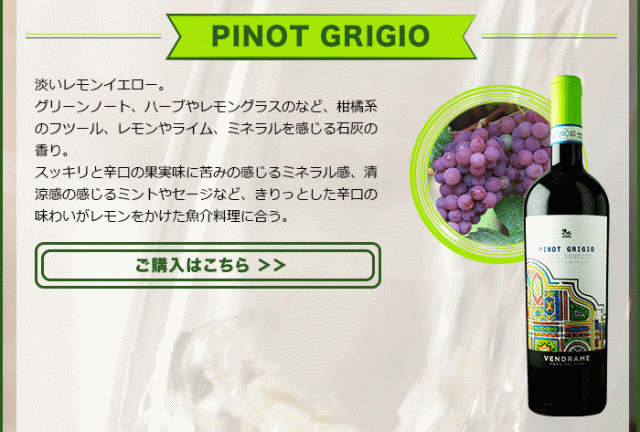 PINOT GRIGIO