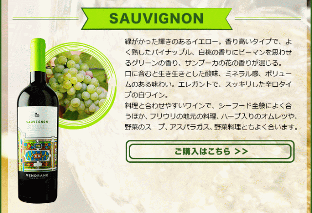 SAUVIGNON