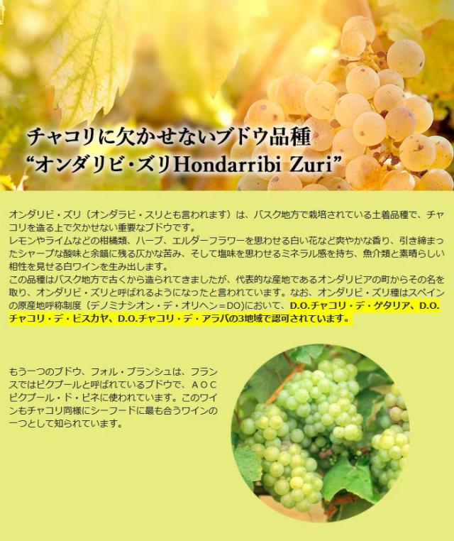 チャコリに欠かせないブドウ品種 「オンダリビ・ズリHondarribi Zuri」
