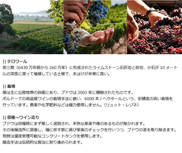 テロワール、栽培、収穫?ワイン造り