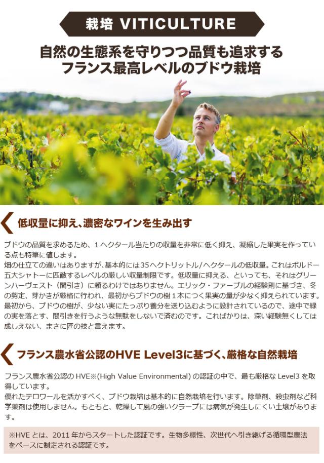 自然の生態系を守りつつ品質も追求するフランス最高レベルのブドウ栽培