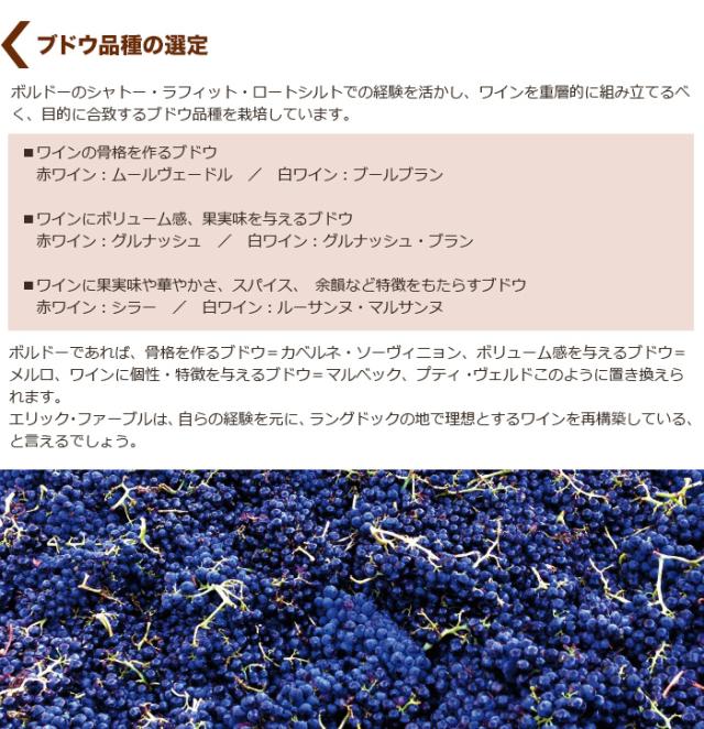 ブドウ品種の選定