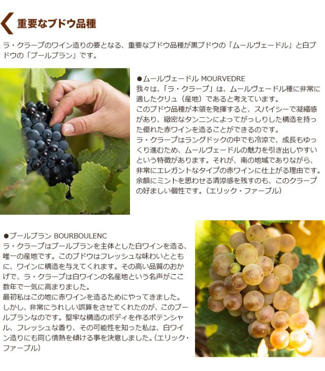 重要なブドウ品種