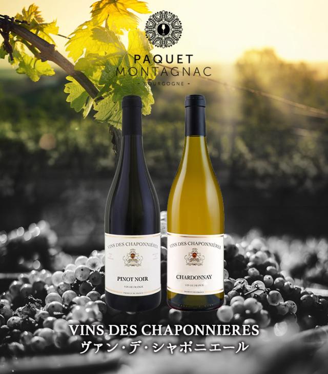 ヴァン・デ・シャポニエール