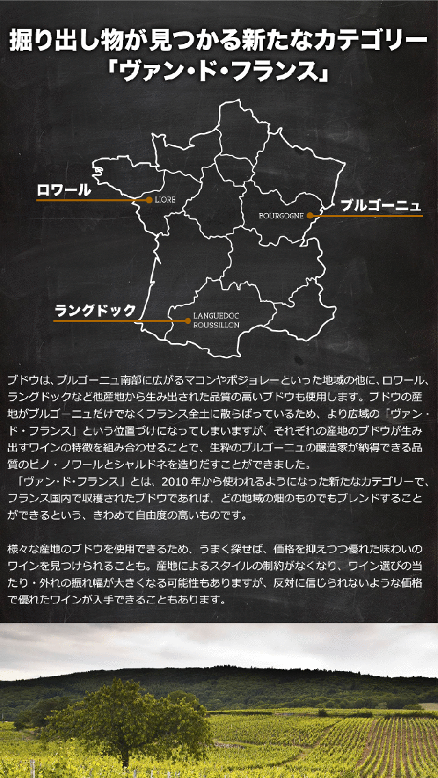 掘り出し物が見つかる新たなカテゴリー「ヴァン・ド・フランス」
