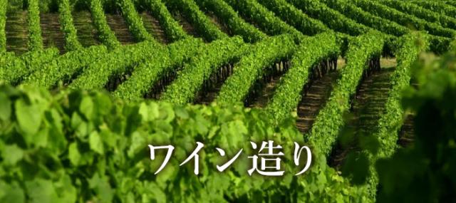 ワイン造り