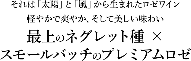 PERLE（真珠）の名を持つ、エレガントな装い地葡萄ネグレット60％、カベルネ・フラン40％100％使用 地元だけで愛される南仏伝統ワイン