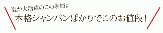 セットの内容は…
