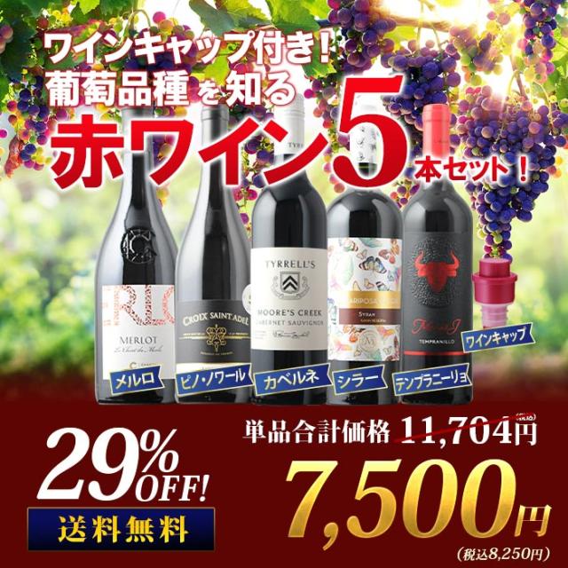 葡萄品種を知る赤ワイン5本セット