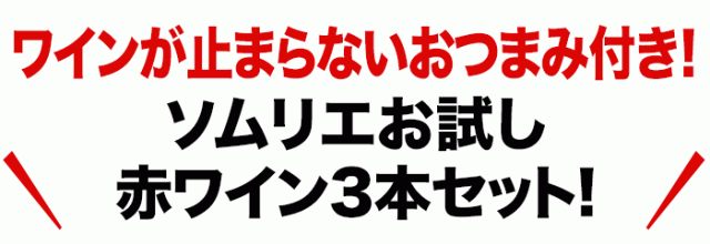 ソムリエ厳選おつまみ付き!ソムリエ赤ワインセット3本セット!