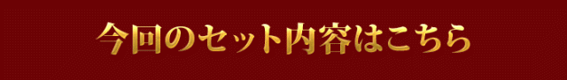 今回のセット内容はこちら