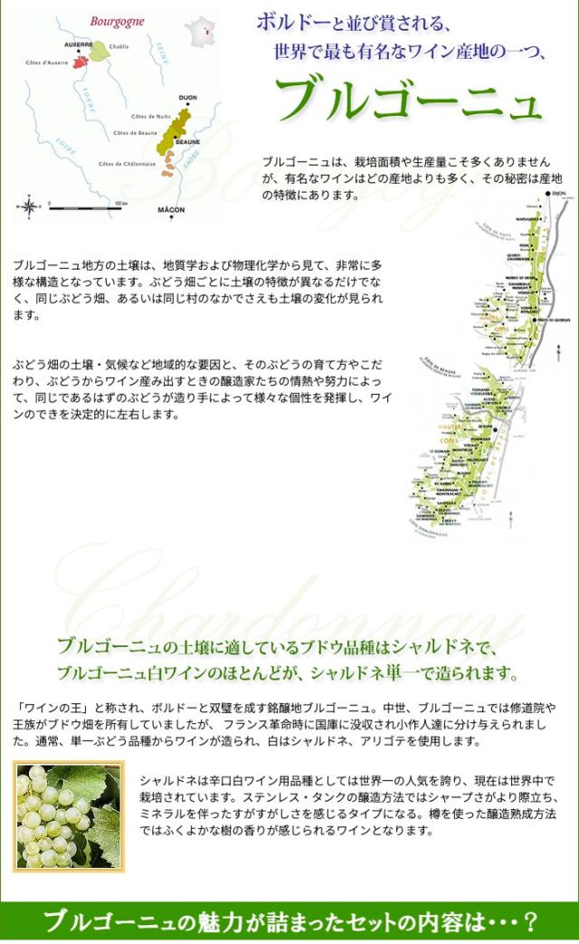 ブルゴーニュ説明