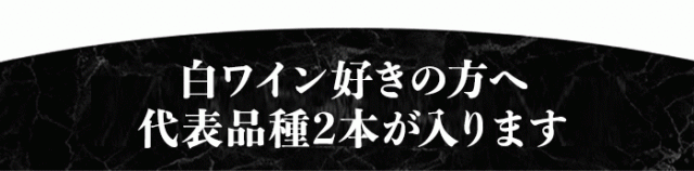 シリーズ全4品種全てが味わえる4本セット！