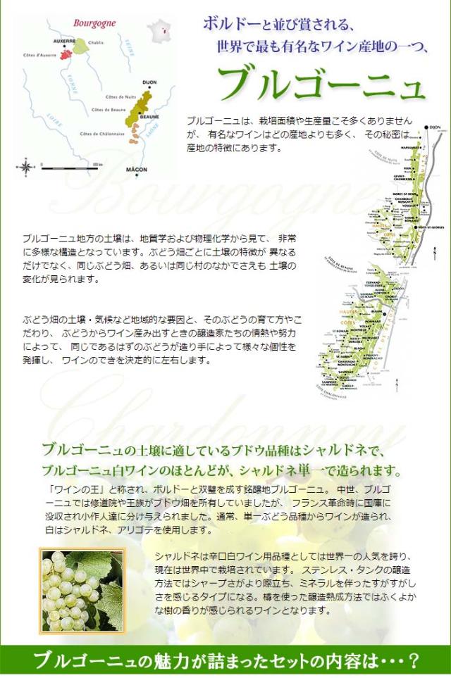 銘醸地ブルゴーニュの贅沢白ワイン