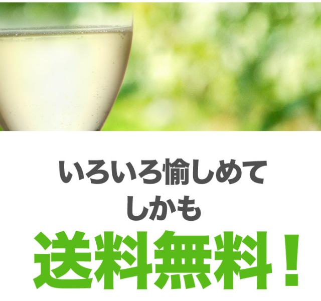 いろいろ愉しめてしかも送料無料