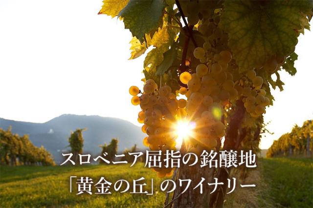 黄金の丘=ZLATI GRIC(ズラティ・グリツ)