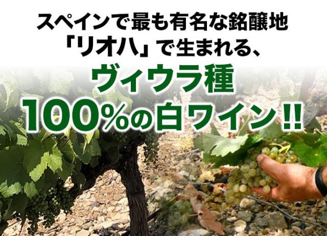 スペインで最も有名な銘醸地「リオハ」で生まれる、ヴィウラ種100%の辛口白ワイン