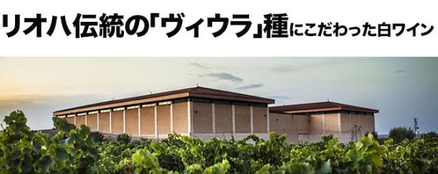 リオハ伝統の「ヴィウラ」種にこだわった白ワイン
