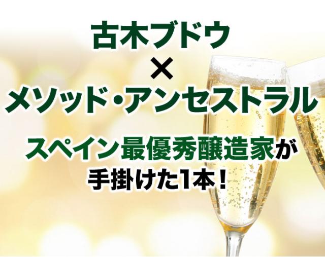 パストレイユ・ド・クレール・ミロン